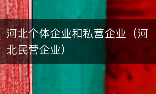 河北个体企业和私营企业（河北民营企业）