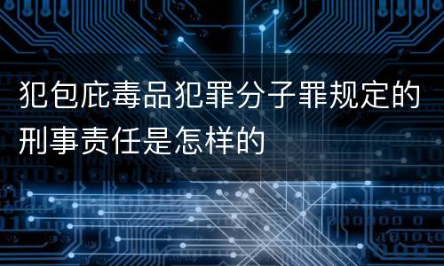 犯包庇毒品犯罪分子罪规定的刑事责任是怎样的