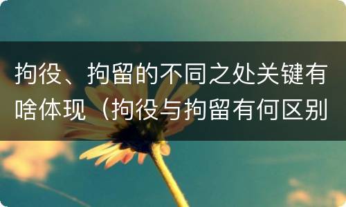 拘役、拘留的不同之处关键有啥体现（拘役与拘留有何区别呢举例说明）