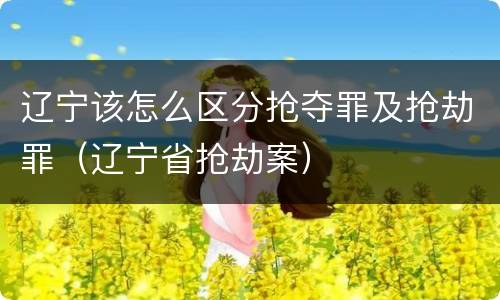 辽宁该怎么区分抢夺罪及抢劫罪（辽宁省抢劫案）