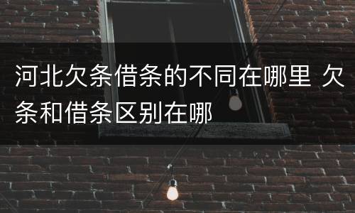 河北欠条借条的不同在哪里 欠条和借条区别在哪