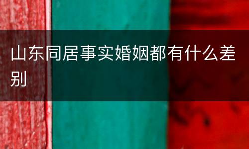 山东同居事实婚姻都有什么差别