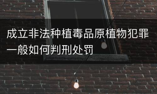 成立非法种植毒品原植物犯罪一般如何判刑处罚