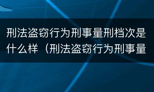 刑法盗窃行为刑事量刑档次是什么样（刑法盗窃行为刑事量刑档次是什么样的）