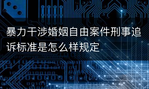 暴力干涉婚姻自由案件刑事追诉标准是怎么样规定
