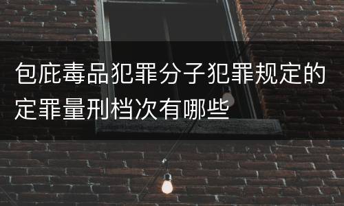 包庇毒品犯罪分子犯罪规定的定罪量刑档次有哪些