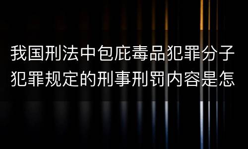 我国刑法中包庇毒品犯罪分子犯罪规定的刑事刑罚内容是怎样的