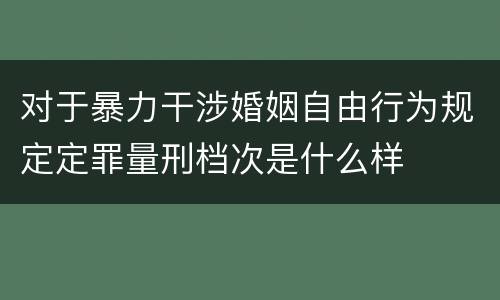 对于暴力干涉婚姻自由行为规定定罪量刑档次是什么样