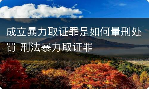 成立暴力取证罪是如何量刑处罚 刑法暴力取证罪