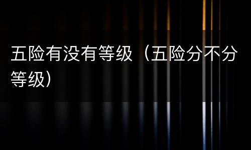 五险有没有等级（五险分不分等级）