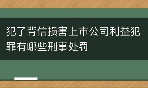 犯了背信损害上市公司利益犯罪有哪些刑事处罚