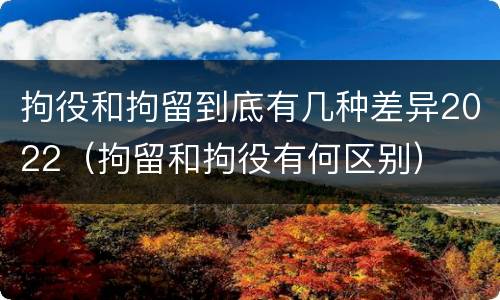 拘役和拘留到底有几种差异2022（拘留和拘役有何区别）