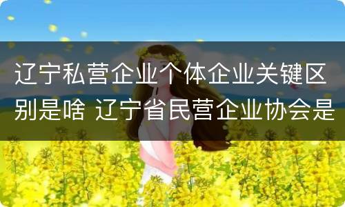 辽宁私营企业个体企业关键区别是啥 辽宁省民营企业协会是什么性质