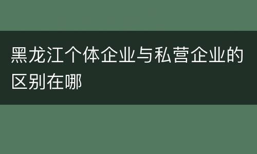 黑龙江个体企业与私营企业的区别在哪