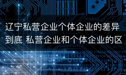 辽宁私营企业个体企业的差异到底 私营企业和个体企业的区别