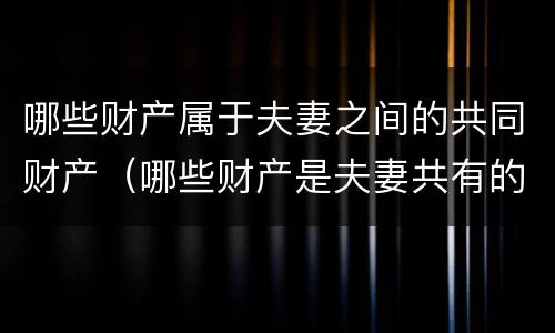 哪些财产属于夫妻之间的共同财产（哪些财产是夫妻共有的）