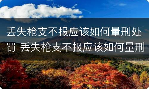 丢失枪支不报应该如何量刑处罚 丢失枪支不报应该如何量刑处罚决定书