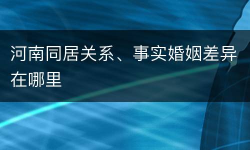 河南同居关系、事实婚姻差异在哪里