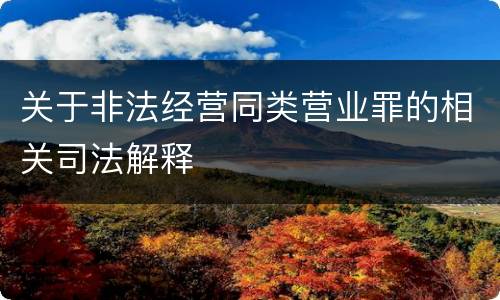 关于非法经营同类营业罪的相关司法解释