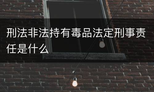 刑法非法持有毒品法定刑事责任是什么