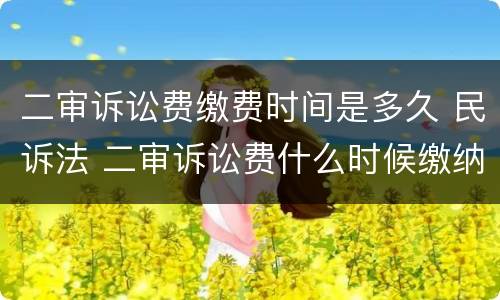二审诉讼费缴费时间是多久 民诉法 二审诉讼费什么时候缴纳