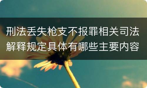 刑法丢失枪支不报罪相关司法解释规定具体有哪些主要内容