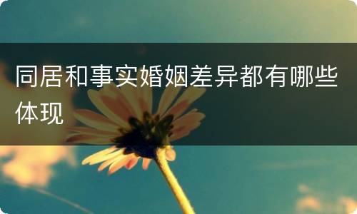 同居和事实婚姻差异都有哪些体现