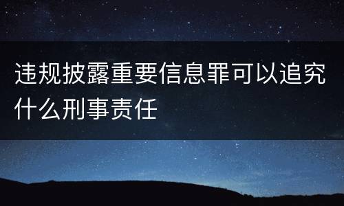 违规披露重要信息罪可以追究什么刑事责任