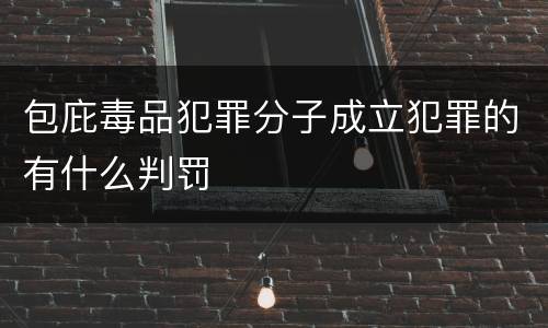 包庇毒品犯罪分子成立犯罪的有什么判罚