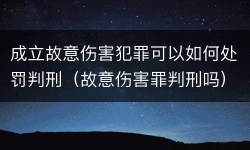 成立故意伤害犯罪可以如何处罚判刑（故意伤害罪判刑吗）