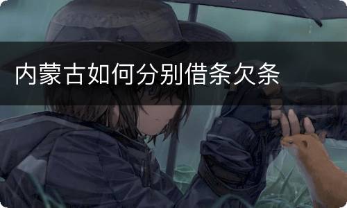 内蒙古如何分别借条欠条