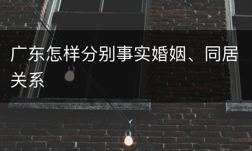 广东怎样分别事实婚姻、同居关系
