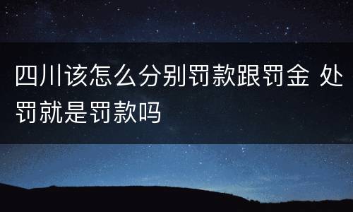 四川该怎么分别罚款跟罚金 处罚就是罚款吗