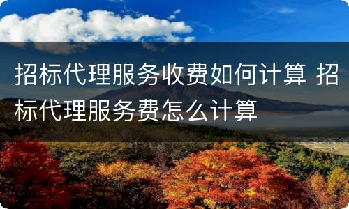 招标代理服务收费如何计算 招标代理服务费怎么计算
