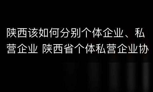 陕西该如何分别个体企业、私营企业 陕西省个体私营企业协会