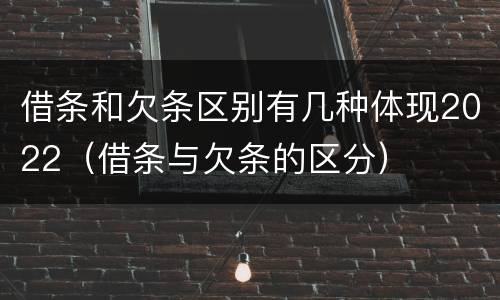 借条和欠条区别有几种体现2022（借条与欠条的区分）