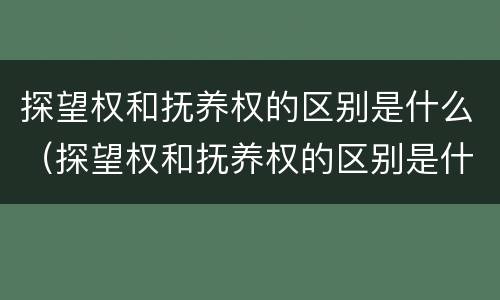 探望权和抚养权的区别是什么（探望权和抚养权的区别是什么呢）