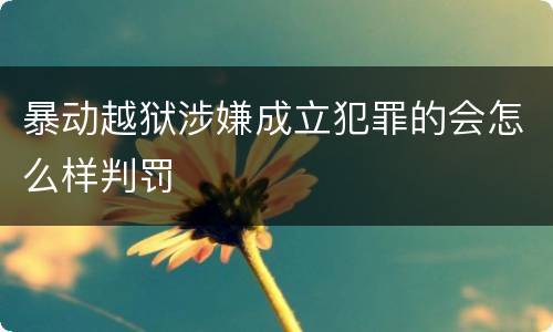 暴动越狱涉嫌成立犯罪的会怎么样判罚