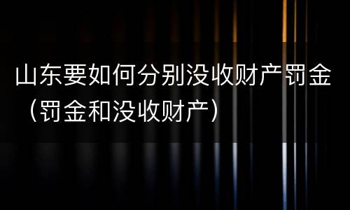 山东要如何分别没收财产罚金（罚金和没收财产）