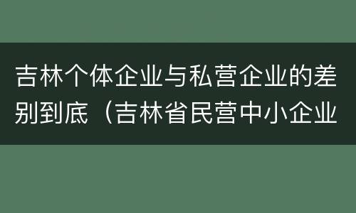 吉林个体企业与私营企业的差别到底（吉林省民营中小企业）