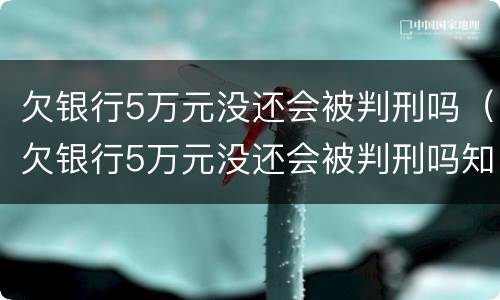 欠银行5万元没还会被判刑吗（欠银行5万元没还会被判刑吗知乎）