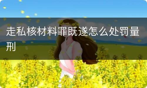 走私核材料罪既遂怎么处罚量刑