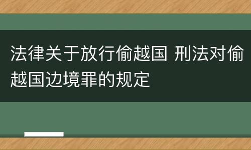 法律关于放行偷越国 刑法对偷越国边境罪的规定
