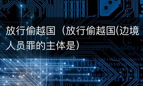 放行偷越国（放行偷越国(边境人员罪的主体是）