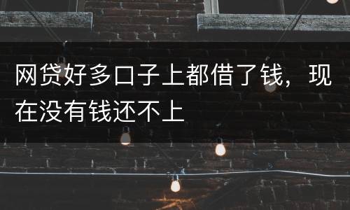 网贷好多口子上都借了钱，现在没有钱还不上