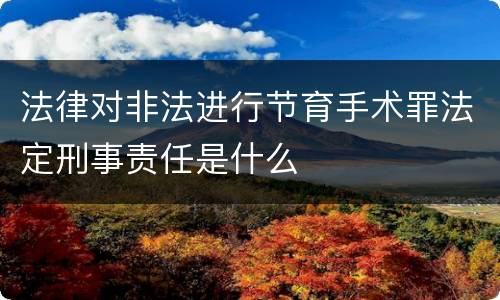 法律对非法进行节育手术罪法定刑事责任是什么