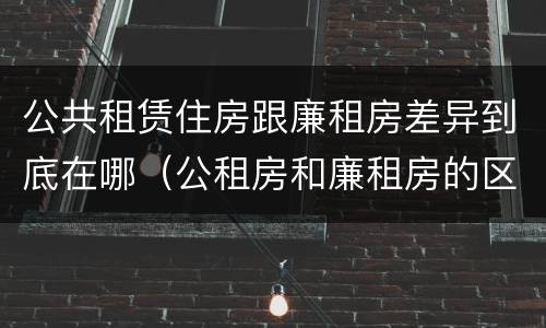 公共租赁住房跟廉租房差异到底在哪（公租房和廉租房的区别租金）