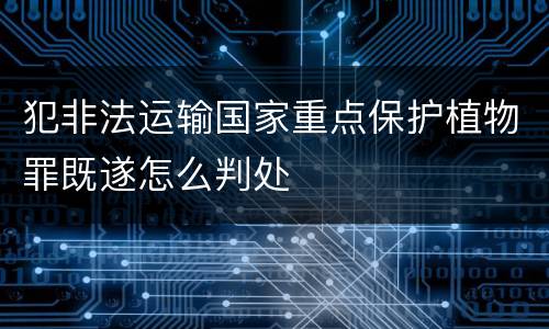 犯非法运输国家重点保护植物罪既遂怎么判处