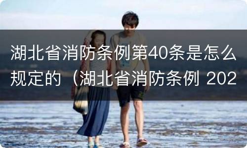湖北省消防条例第40条是怎么规定的（湖北省消防条例 2020）