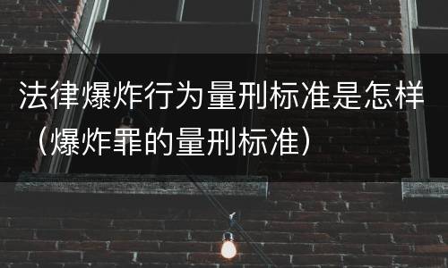 法律爆炸行为量刑标准是怎样（爆炸罪的量刑标准）